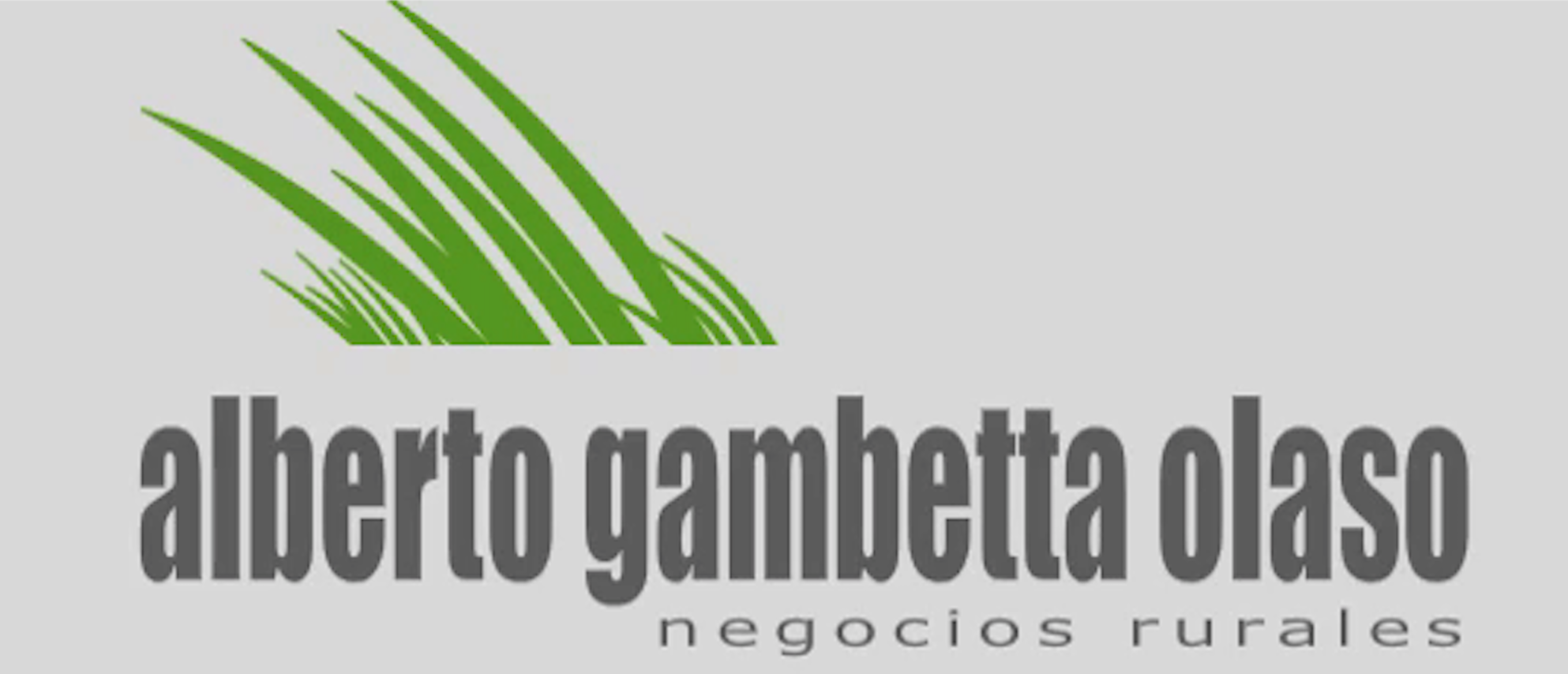 Alberto Gambetta